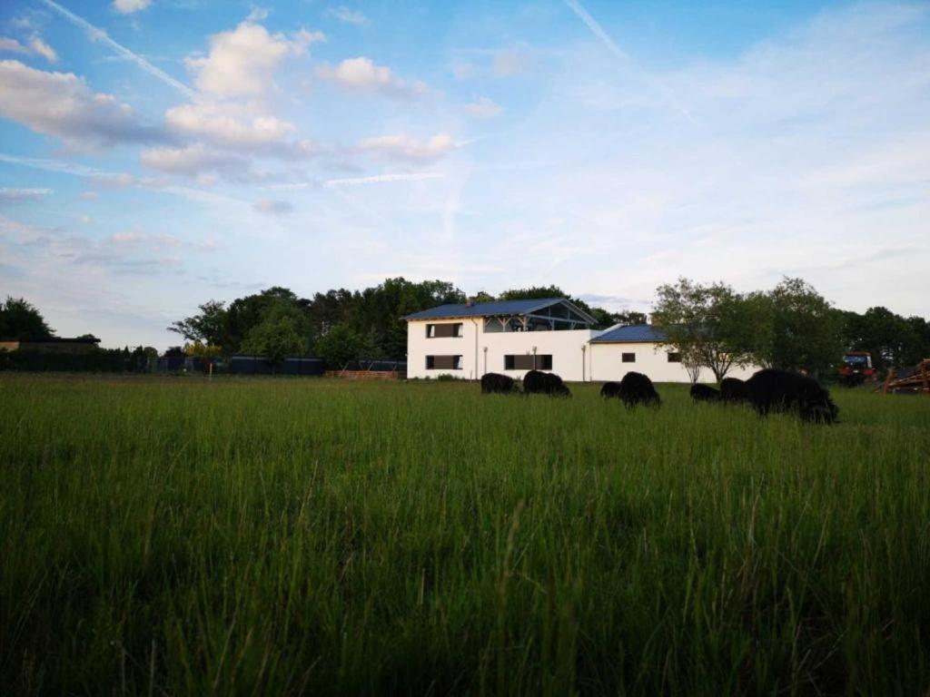 Landhaus Kirchberg Nardt Bagian luar foto