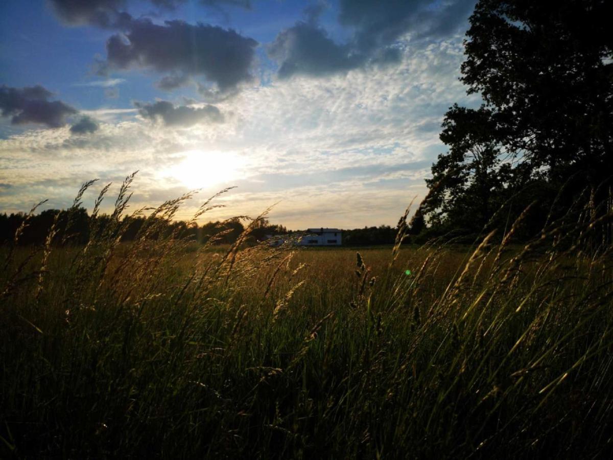 Landhaus Kirchberg Nardt Bagian luar foto